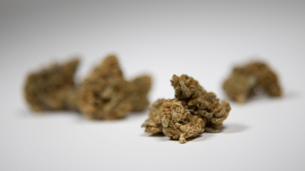 The Role of Terpenes: Aroma, Flavor, and Effects in Cannabis